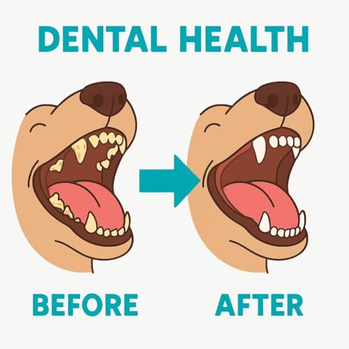 Image of Himalayan Yak Dog Treat, 100% Veg and Natural Protein & Calcium Rich Dental Chew for All Breed Strawberry (2 Medium Stick)