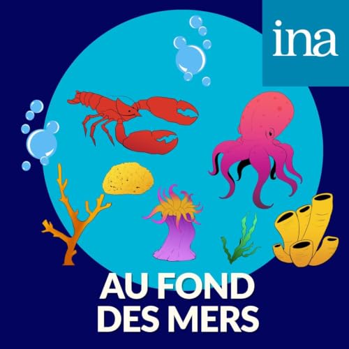 [Animaux du fond des mers] L'&eacute;ponge, l'&ecirc;tre le plus sage du monde