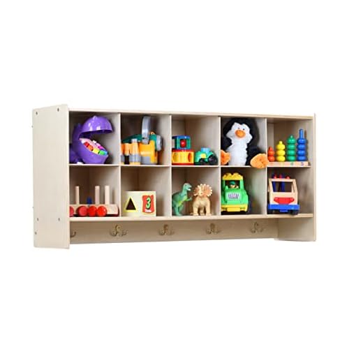 RRI Goods 10-Section Wall Mount Classroom Storage Cubby Organizer & Coat Locker with Shelf, Hanging Wall Organizer with Hooks for Home, Daycare, Classroom