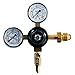 Taprite Dual Gauge Nitrogen Regulator for CGA 580 Valve
