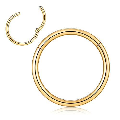 Afftiny 2 Pcs 8Mm 14G Gold Septum Ring For Male Thin Hoop 316L Stainless Steelround Circle Clicker Hinged Sleep Earrings For Helix,Top Helix, Second/Third Lobe Hole,Lip, Side Nose Ring #TOP3