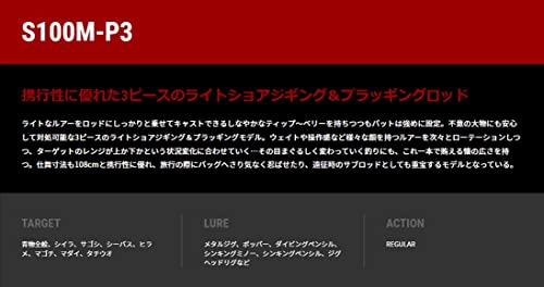 テイルウォーク ライズシューター SSD S100M-P3