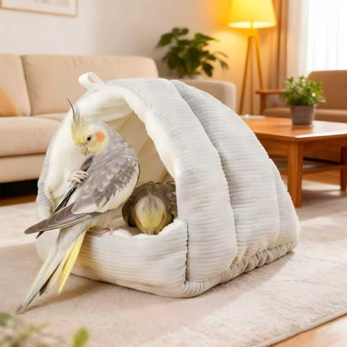 h[^ybgxbhAIEAbgAtFbgAETMp̊eybgxbhnEXA݂蒹EH[}[A~̒gAnX^[nbNAnlY~nEXAh[^~pybgxbhA̗VяA (S,F)