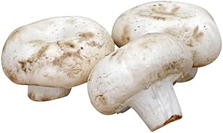 Large Mushrooms Bulk