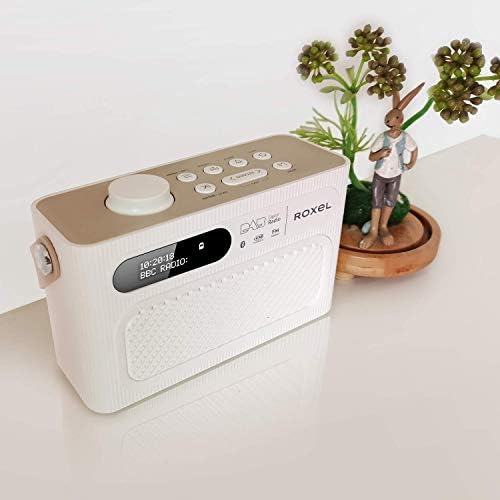 Roxel RDR-40 Stereo DAB/DAB+ Digital and FM Radio Portable Bluetooth Speaker with Dual Alarm Clock Function, USB & Micro SD MP3 Playback Function (White)