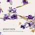 Enjoy Holistic Hair Mask - Deep Conditioning Treatment for Intense Hydration & Strength - Moisturizing Hair Mask for All Hair Types Sulfate-Free - Calming Lavender & Fruit Scent - 6.2 Fl Oz | Intense hydration