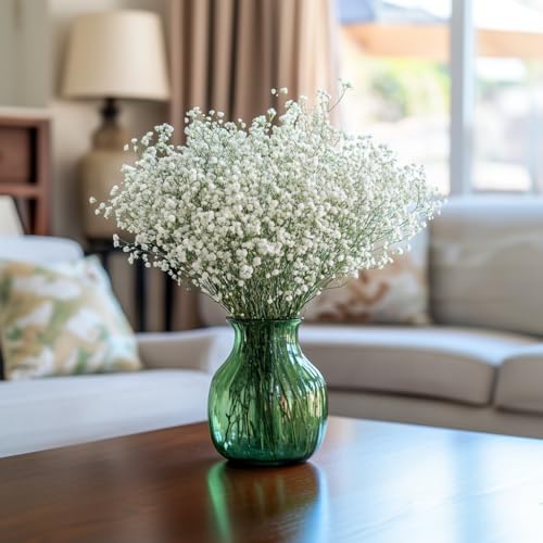 GlobalRose 30 Stems of Baby\'s Breath Gypsophilia - Fresh Flowers for Delivery