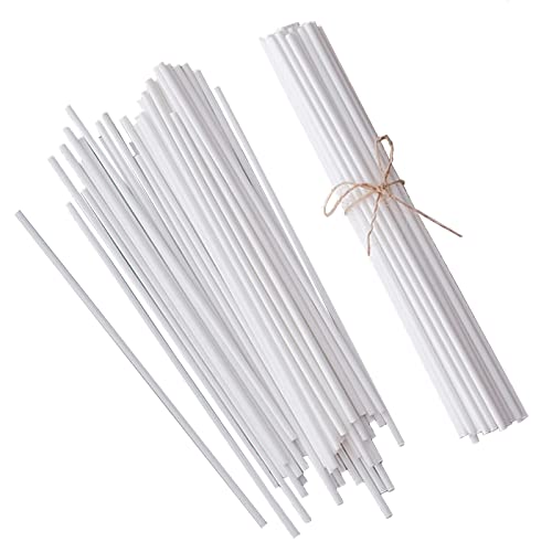 100 Pieces Fiber Reed Diffuser Sticks 21Cm*3Mm Replacement Refill Sticks For Aroma Fragrance Bathroom Deodorant (White) #TOP14
