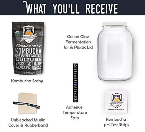 Kombucha Essentials Kit - Includes Usda Organic Kombucha Scoby + 1-Gallon Glass Fermenting Jar With Breathable Cover + Ph Strips + Rubber Band + Adhesive Thermometer - Brew Kombucha At Home #TOP2