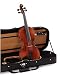 student/beginner violin (3/4)