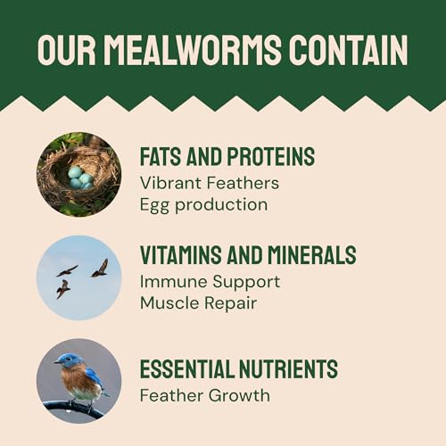 Hatortempt Dried Mealworms for Wild Birds - 2 Lb Bag - Bluebird Food - High-Protein Meal Worms for Blue Birds, Robins and Chickadees — view 4