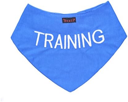 Dexil Training Blue Dog Bandana Quality Personalised Embroidered Message Neck Scarf Fashion Accessory Prevents Accidents by Warning Others of Your Dog in Advance