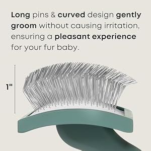 Long Pin Slicker Brush for Dogs - Best for Medium to Long Haired Dogs - Great for Grooming Doodle, Poodle, Husky, Goldendoodle, Bernadoodle, Labradoodle - Green Curved - Freshly Bailey