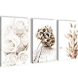 Novart Wandbilder Boho - KOMPLETT AUFHÄNGFERTIG - Wohnzimmer Schlafzimmer Wanddeko - 3 Bilder Set Beige - N023130a