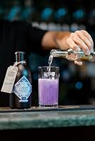 The Illusionist Masquerade Alc. Free | Die Alkoholfreie Alternative mit Farbwechsel | Von den Machern des Illusionist Dry Gin | Akazienblüten, Zitronengras, Piment | Zuckerfrei | Vegan | 500ml – Ansicht 4