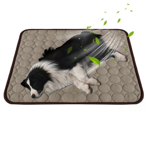 SilverChry Kühlmatte Für Hunde, Kühldecke Hund, Kühlmatte Katze, Ungiftige Kühlpads für Haustiere, Waschbare Kühlmatte Für Haustier (Curry-XL)