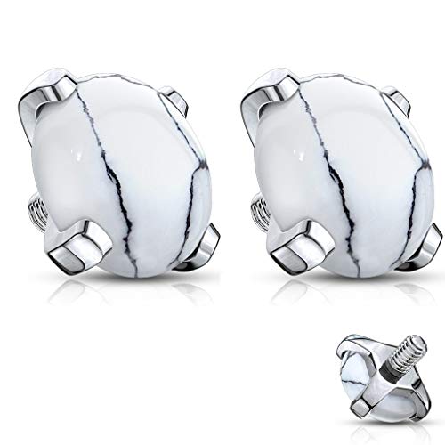 Best Bet Surface Area For Dummies 2023 Where to Buy?