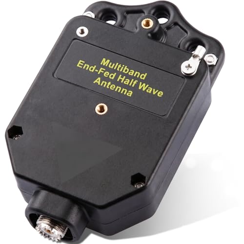 GOOZEEZOO 150 W end fed antenna transformer