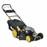  PAPILLON 8062032 CORTACESPED GASOLINA PAPILLON BRIGGS & STRATTON 6HP