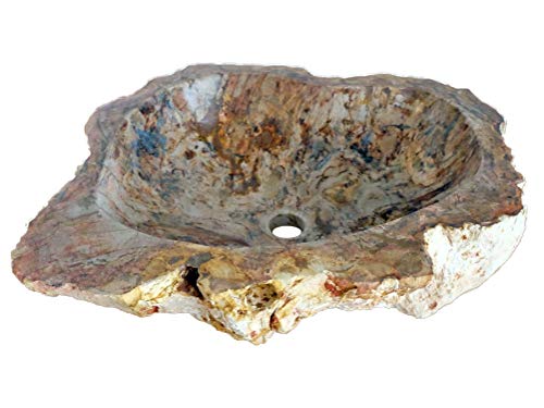 Natural Stone Sink - Petrified Wood #TOP6