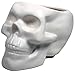 Plant Pot Skull Bone White