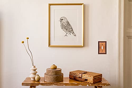 Cover Star Raised Pearls Decorative Wall Plate Switch Plate Outlet Cover (Single Toggle, 2 Pack, Sponged Copper) #TOP4