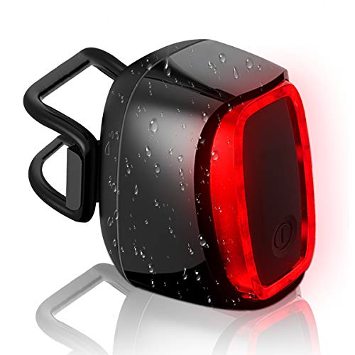 SILVIA Intelligente Bici Fanale Posteriore, USB