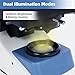 MicroMarvels Professional Compound Binocular Microscope 40X-2000X, Dual LED Illumination with WF10X & WF25X Eyepieces, Metal Frame for School Laboratory, Home Education, Home Learning (Blue & White)