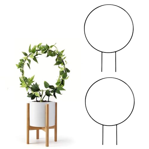 Image of CINAGRO Round-Shaped Iron Garden Trellis for Climbing Plants, Pack of 2 | Rust-Free, Decorative Vine Support Rack for Balcony Garden & Outdoor Plants