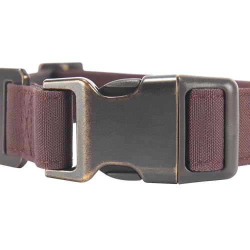 Carhartt Hundehalsband, Nylon, Deep Wine, Größe M