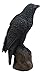 Ebros Gift Gothic Raven Figurine Crow Scavenger Bird Perching On Rock Sculpture 6