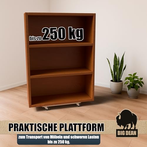 BigDean 3x Möbelroller Transportroller 250kg Rollbrett MDF Möbel Hund Roller