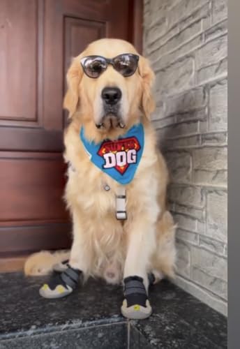 Image of TDIT Superdog Embroidered Bandana with Adjustable Dog Collar (Size Medium /Large)