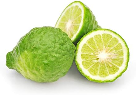 BIO - Bergamot BERGAPTENE Free Essential Oil - 5mL - 100% Pure, Natural, Chemotyped and AB Certified - AROMA LABS (French Brand) - Image 3