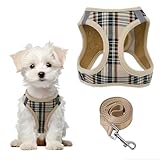 PawSailor Step-in Arnés para Perros Extra Pequeños Antitirones Arneses Perros con Correa Reflectante Ajustable Acolchado Suave Transpirable Chaleco para Cachorros, Chihuahua, Gatos, Beige XXXS