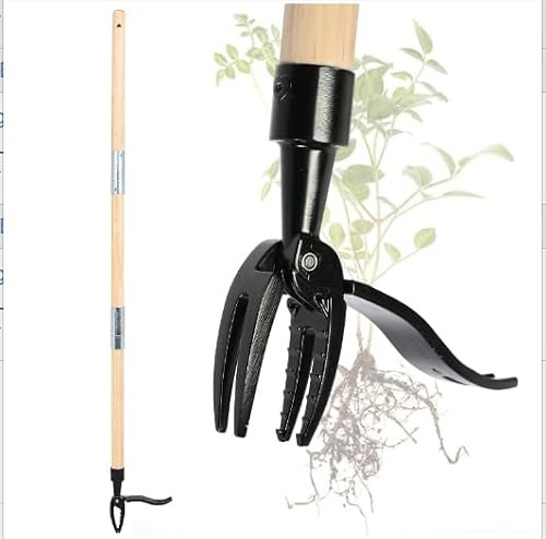 Manual Weeder, Weed Remover Tool Stand Up Weed Puller Tool with Long Handle - Real Wood & 4-Claw Steel Head - Easily Remove Weeds Without Bending, Pulling, Or Kneeling (Weed Puller Tool)