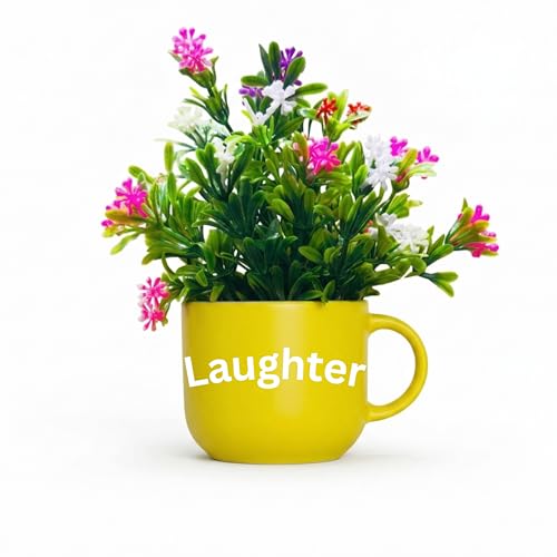 Image of Dekorly Wall Hanging Mug Planters with Artificial Flowers (20CM) - Decorative Hanging Cups, Colorful Floral Wall Decor for Living Room Bedroom Balcony Office Gift Set (3, Love Laughter Joy)