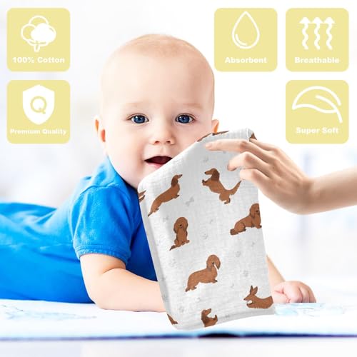 Image of vvfelixl Baby Cotton Washcloths Dachshund Long Haired Infants Bath Towel for Unisex Face Towels for Newborn, Natural Baby Wipes Delicate Skin, 11.8 X 11.8 inch, one sizex5