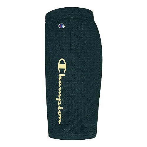 Champion Boy's Vertical Script Mesh Shorts (Big Kids)2