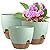 WSMKSZ Big Self Watering Pots 12/10/9 inch, Planter, Plant Pots with Mesh Drainage Holes for Indoor Outdoor Garden Plants, Plastic Flower Pots with Removable Deep Reservoir, Green with Brown