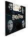 Harry Potter 2020 Calendar: Includes 2 Posters