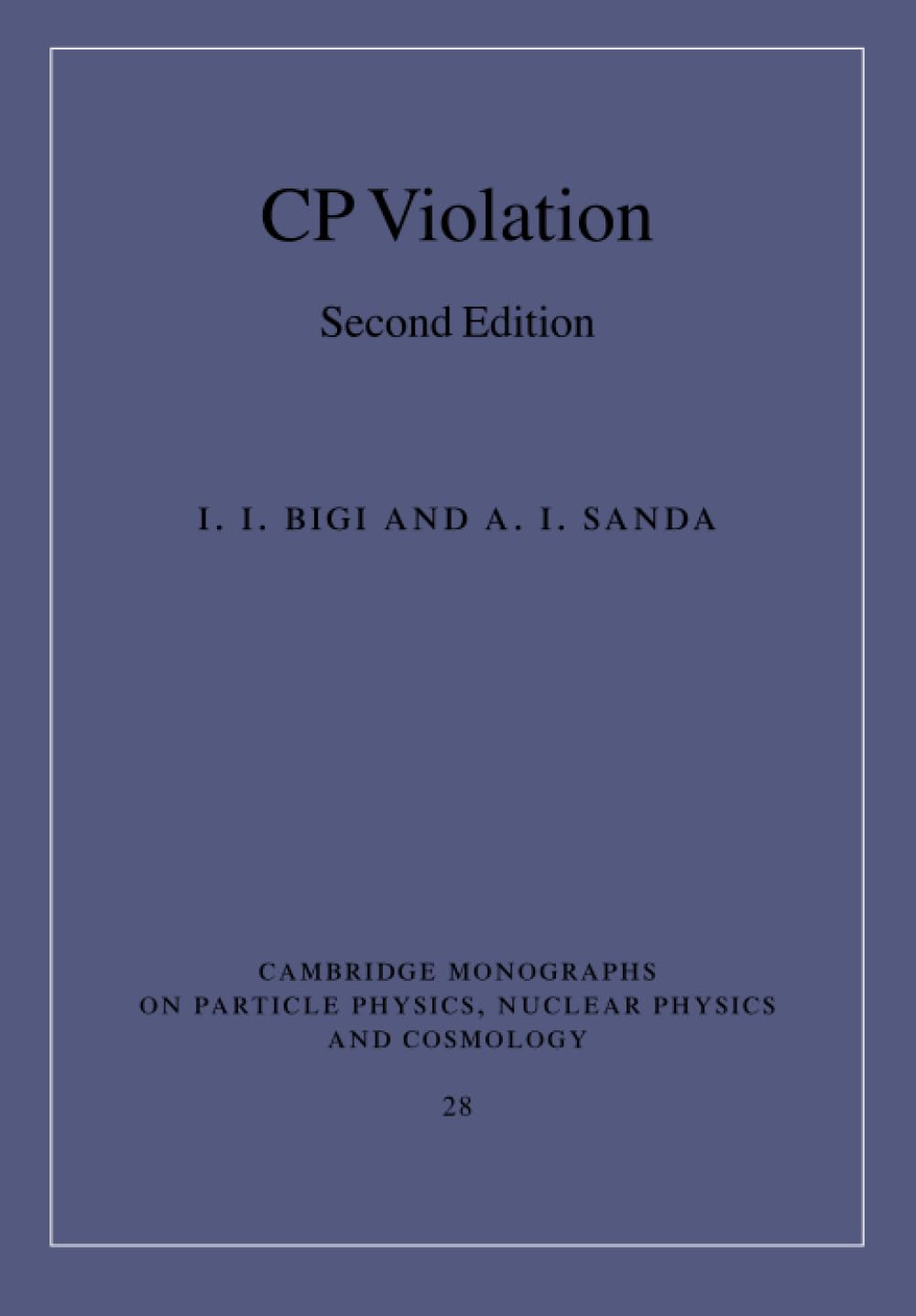CP Violation