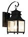 Trans Globe-One Light Weathered Bronze Amber Seeded Glass Wall Lantern-45630 WB