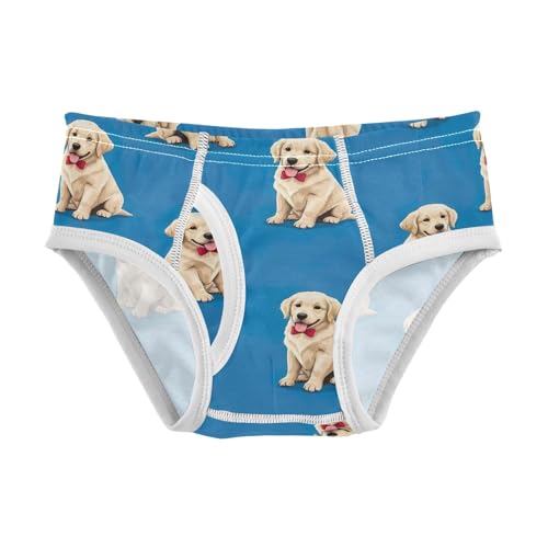 CHIFIGNO Boy Briefs Cute Dog Blue Toddler Boy Underwear Printed Cotton Briefs Underwear