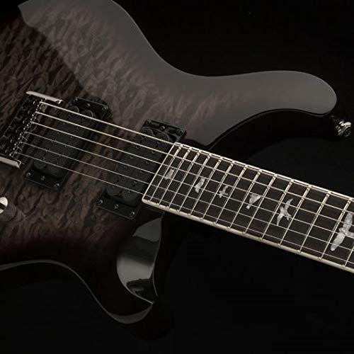 PRS Paul Reed Smith SE Mark Holcomb Guitare électrique avec housse Holcomb Burst - Les Beatles, Paul McCartney, John Lennon, RIngo Starr, George Harrison PRS Paul Reed Smith SE Mark Holcomb Guitare électrique avec housse Holcomb Burst – Image 6