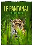 Le Pantanal (Calendrier mural 2026 DIN A3 horizontal), CALVENDO calendrier mensuel: Le Pantanal brésilien - un autre monde avec une faune incroyablement riche et colorée