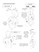 How to Draw Manga: The Male Physique (Manga University Presents ... How to Draw Manga)