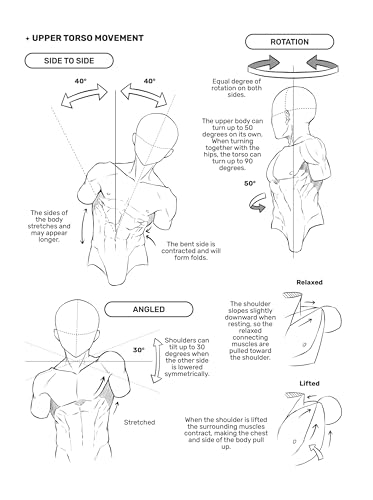 Image of How to Draw Manga: The Male Physique (Manga University Presents ... How to Draw Manga)