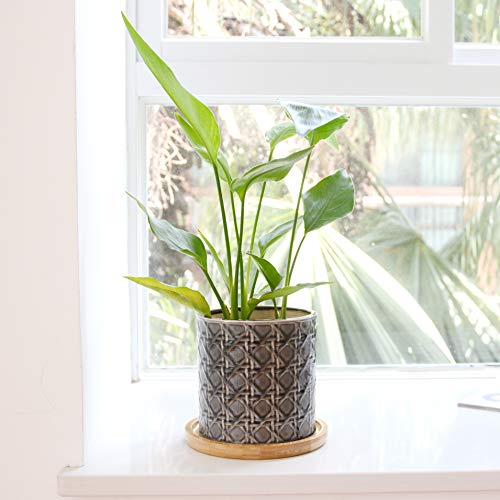 Dsben Bamboo Plant Saucer, Durable Plant Tray For Indoors And Suitable For 6-7 Inch Plant Pots, Set Of 2 #TOP5