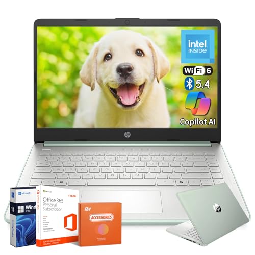 HP 2025 14C`m[gp\R IntelvZbT[ N150 16GB RAM 384GB Xg[W (128GB UFS+256GB MSD) Copilot AIAWi-Fi 6ABT 5.4AHDJA1NԂOffice 365AW